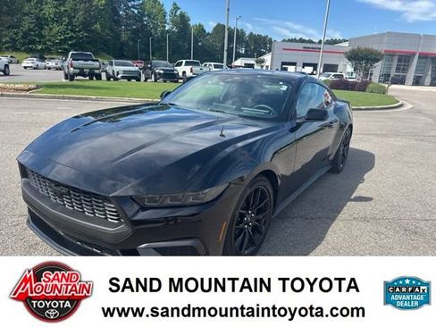 Used 2025 Ford Mustang Coupe w/ Mustang Nite Pony Package RWD image 6