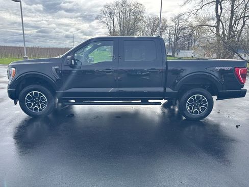 Used 2023 Ford F150 XLT w/ Equipment Group 302A High image 4