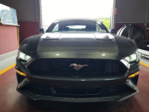 Used 2019 Ford Mustang Convertible RWD image 2
