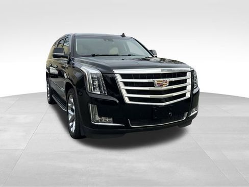 Used 2019 Cadillac Escalade ESV Luxury image 7