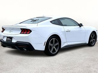 Used 2025 Ford Mustang Premium video 2