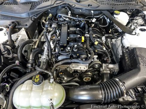Certified 2023 Ford Mustang Premium w/ Equipment Group 201A RWD image 23
