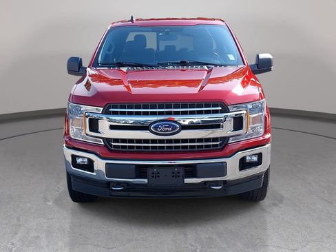 Used 2019 Ford F150 XLT w/ Equipment Group 302A Luxury AWD/4WD image 2