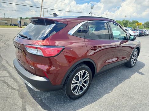 Used 2021 Ford Escape SEL AWD/4WD image 6