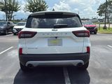 Used 2023 Ford Escape Active w/ Tech Pack #1 image 6