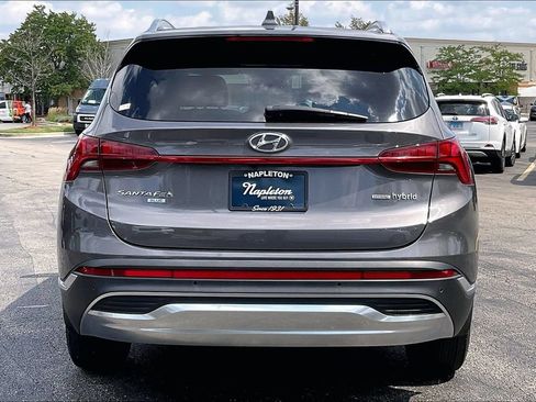 Used 2021 Hyundai Santa Fe Blue AWD/4WD image 3