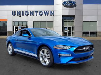 Certified 2019 Ford Mustang Premium w/ Equipment Group 201A video 1