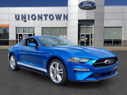 Certified 2019 Ford Mustang Premium w/ Equipment Group 201A image 1