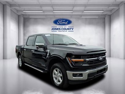 New 2025 Ford F150 XLT