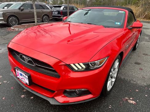Used 2015 Ford Mustang GT Premium w/ Equipment Group 401A image 1