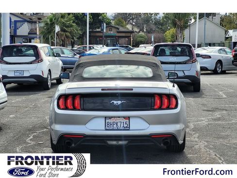 Used 2019 Ford Mustang Premium image 6