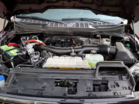 Used 2025 Ford F150 XLT w/ Equipment Group 301A Standard image 30