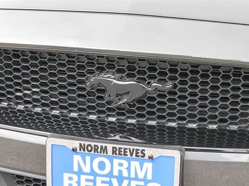 Used 2020 Ford Mustang GT w/ Equipment Group 301A image 6