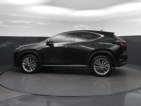Certified 2025 Lexus NX 350 AWD w/ Premium Package image 4