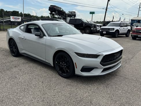 New 2026 Ford Mustang Coupe w/ Mustang Nite Pony Package RWD image 1