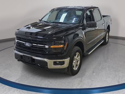 Used 2025 Ford F150 XLT w/ Equipment Group 301A Standard