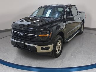 Used 2025 Ford F150 XLT w/ Equipment Group 301A Standard AWD/4WD video 1
