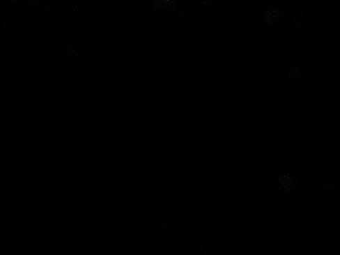 Used 2021 Jeep Wrangler Sport S image 24