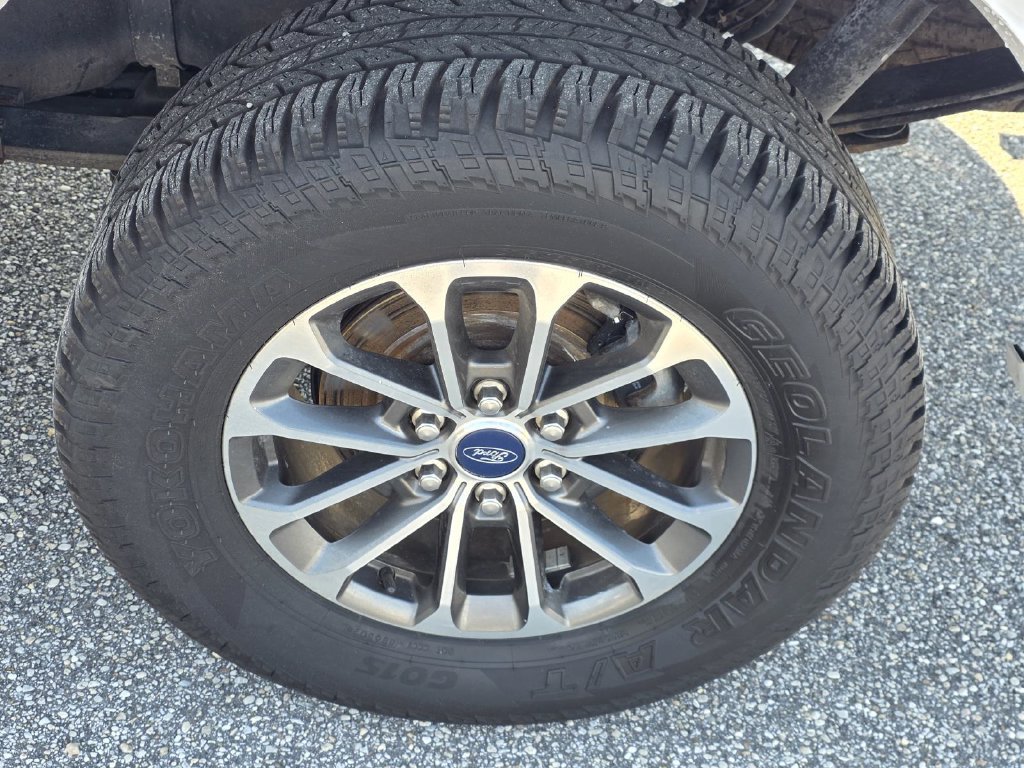Used 2019 Ford F150 XLT w/ Equipment Group 302A Luxury AWD/4WD image 42