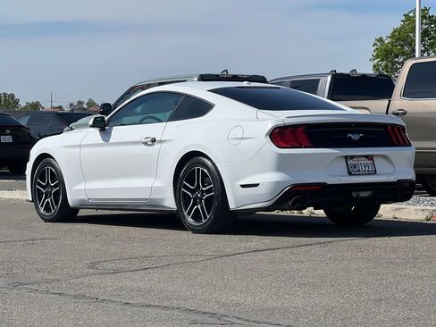 Used 2019 Ford Mustang Premium image 7