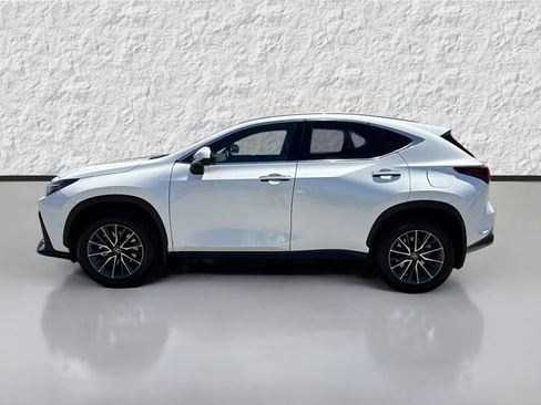 Used 2025 Lexus NX 350h AWD w/ Rear Seat Package image 6
