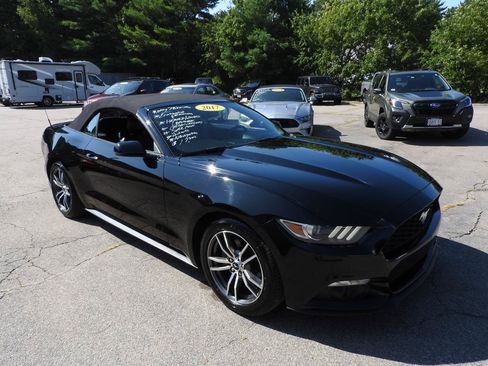 Used 2017 Ford Mustang Premium RWD image 5