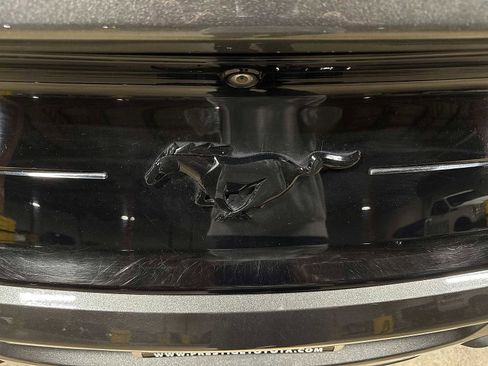 Used 2019 Ford Mustang Coupe w/ Equipment Group 101A image 25