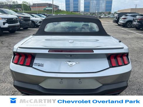 Used 2025 Ford Mustang Premium RWD image 4