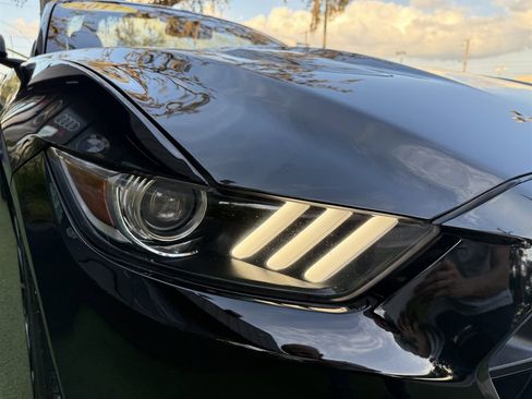 Used 2017 Ford Mustang GT Premium image 13