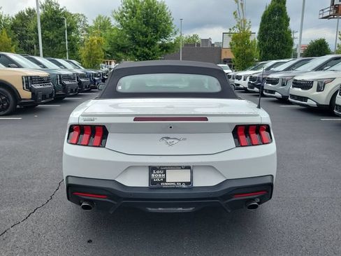 Used 2024 Ford Mustang Premium RWD image 5