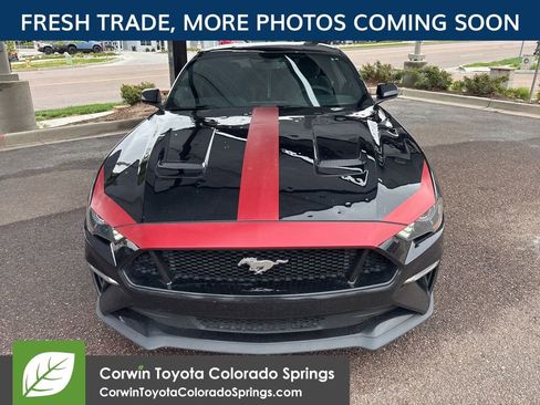 Used 2019 Ford Mustang GT w/ Equipment Group 301A RWD image 2