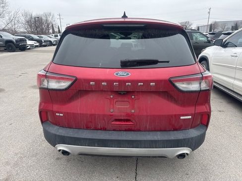 Used 2020 Ford Escape SE image 5
