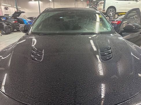 Used 2023 Alfa Romeo Stelvio Quadrifoglio w/ Active Assist Plus Package image 2