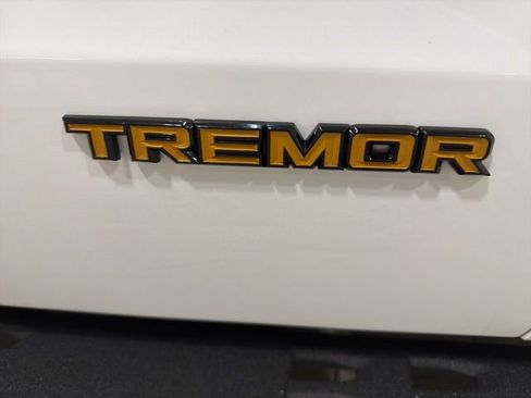 Used 2025 Ford Expedition Tremor image 21