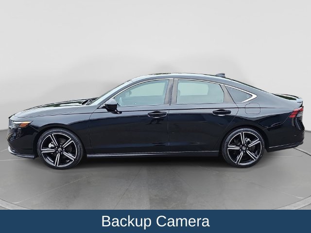 Used 2024 Honda Accord Sport image 5