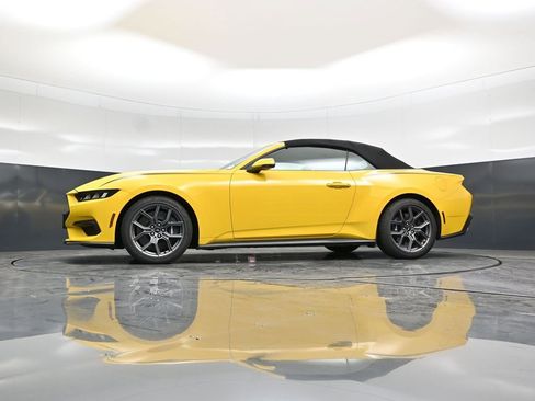 Certified 2024 Ford Mustang Premium w/ 2.3L High Performance Package image 56