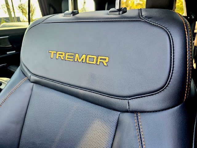 Used 2025 Ford Expedition Tremor AWD/4WD image 21