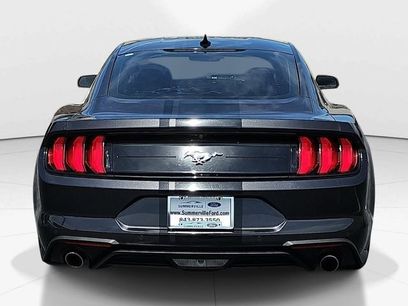 Used 2023 Ford Mustang Coupe w/ Equipment Group 101A