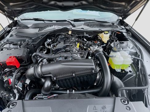 New 2026 Ford Mustang Coupe w/ Mustang Nite Pony Package image 30