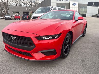 Used 2024 Ford Mustang Premium