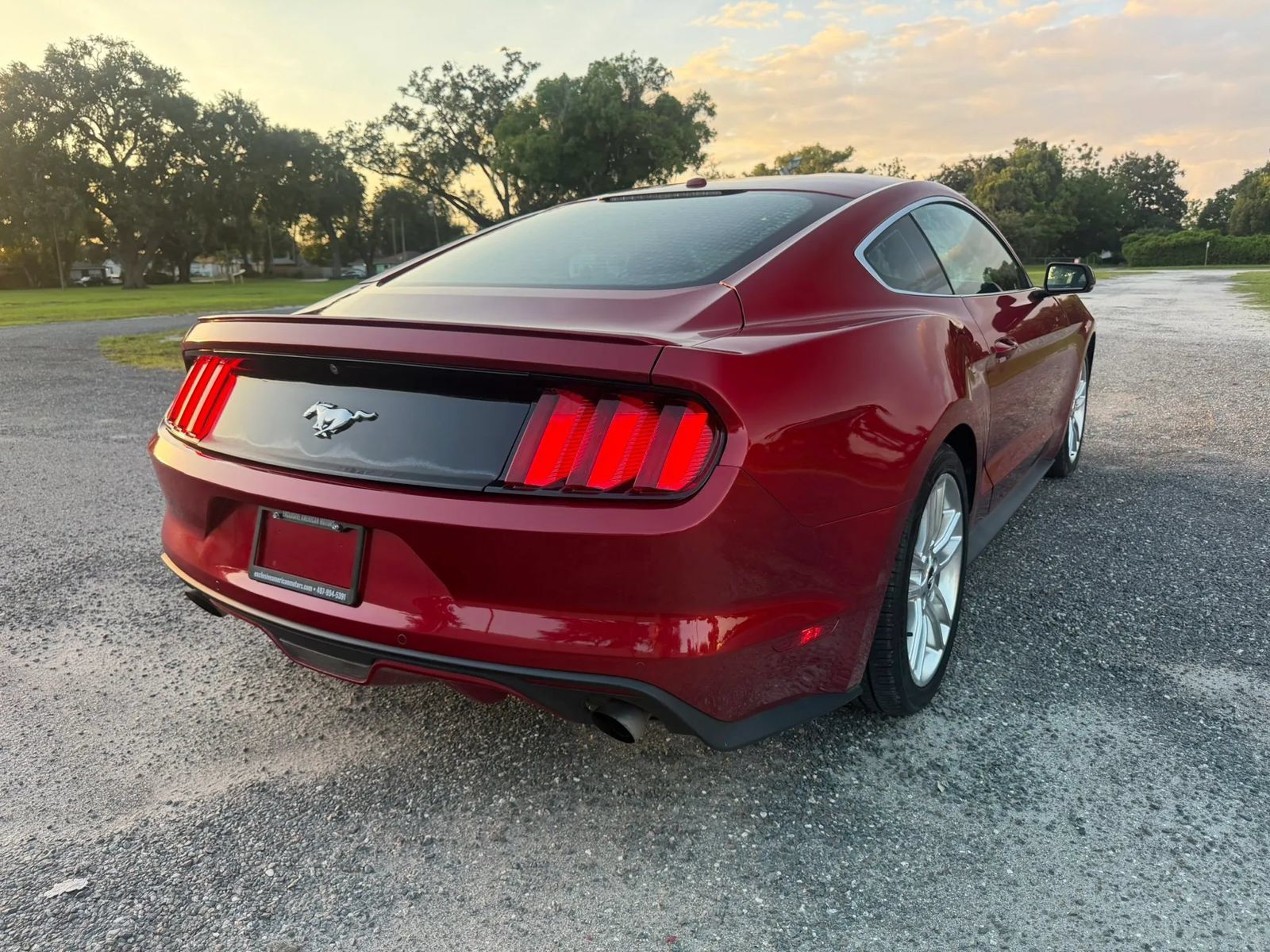 Used 2016 Ford Mustang Premium w/ Equipment Group 201A RWD image 5