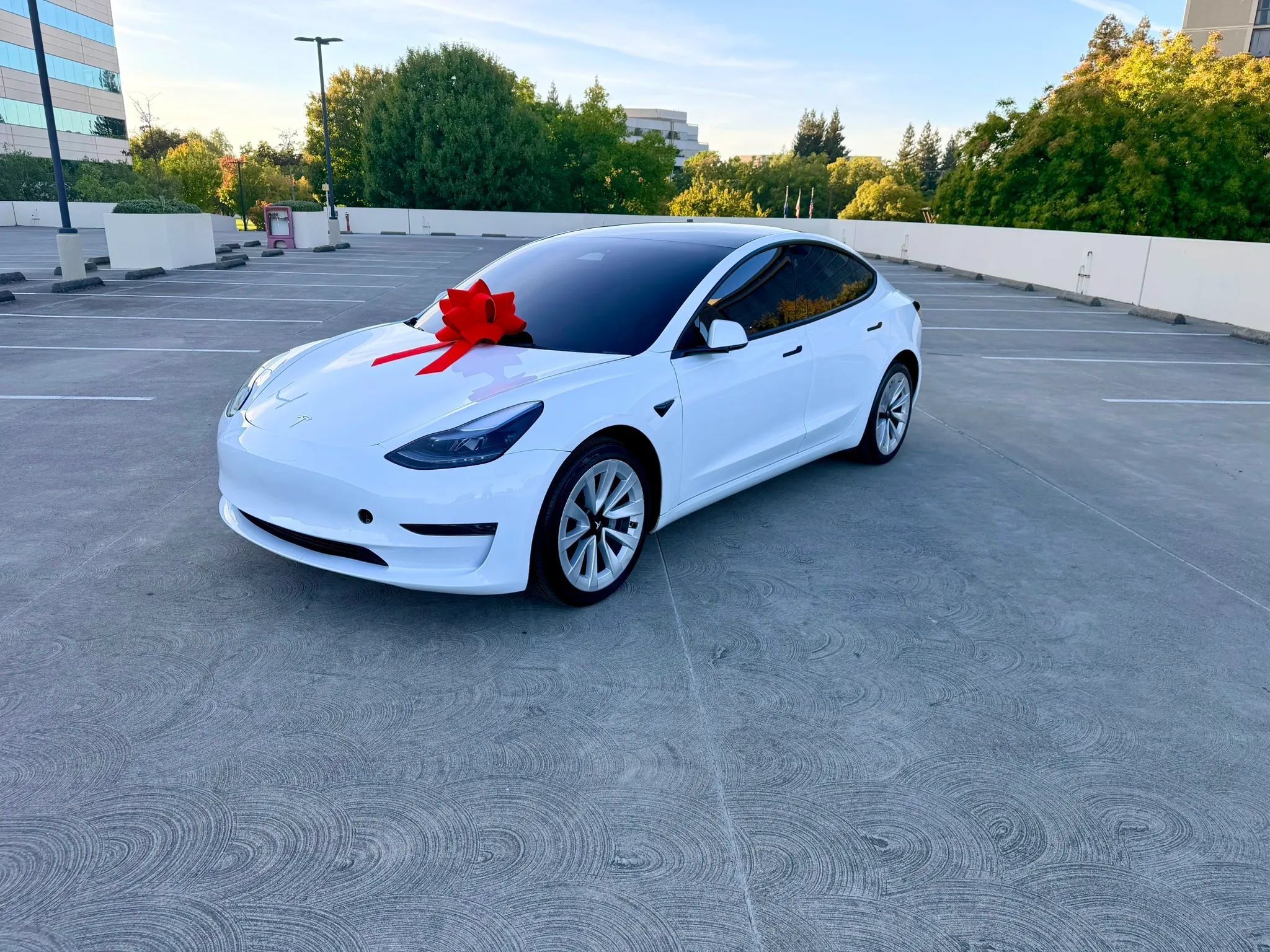 Used 2023 Tesla Model 3 Standard Range RWD image 7