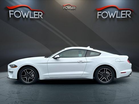 Used 2021 Ford Mustang Premium w/ Equipment Group 201A RWD image 2