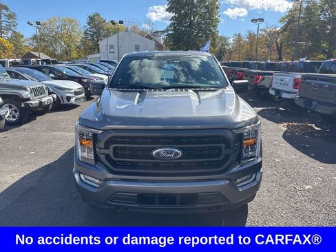 Certified 2023 Ford F150 XLT w/ Equipment Group 302A High image 2