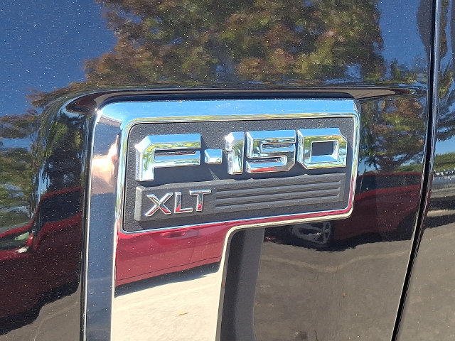 Used 2025 Ford F150 XLT w/ Equipment Group 301A Standard RWD image 7