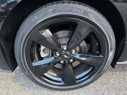 Used 2023 Ford Mustang GT w/ Mustang Nite Pony Package image 9