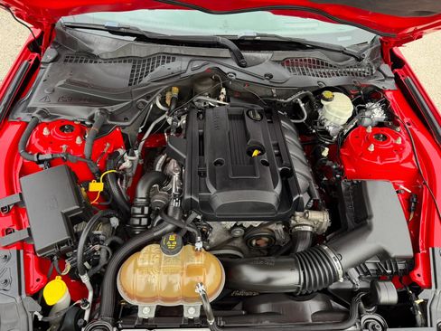 Used 2015 Ford Mustang Premium w/ Equipment Group 201A RWD image 32
