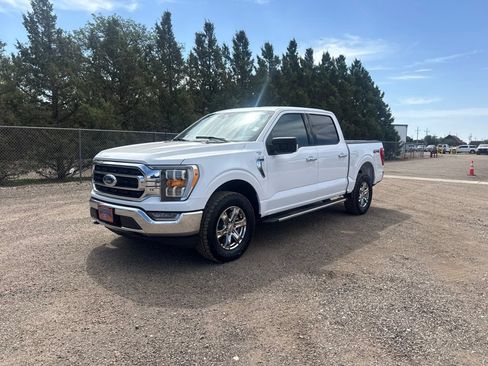 Used 2023 Ford F150 XLT w/ Equipment Group 302A High AWD/4WD image 1