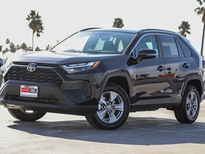 Certified 2025 Toyota RAV4 XLE