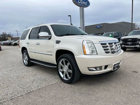 Used 2010 Cadillac Escalade Luxury image 1